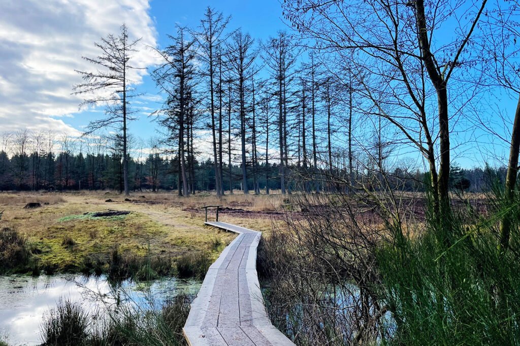 Drents Friese Wold Uitgaanin Friesland